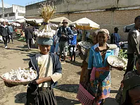 madagascar-natura-efgyw