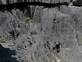 madagascar-natura-j4gwc