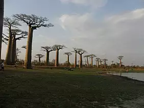 madagascar-natura-m2pwx