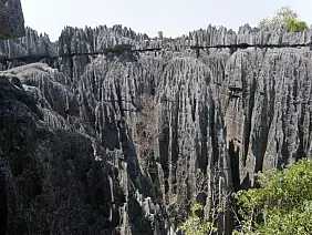 madagascar-natura-nbmub