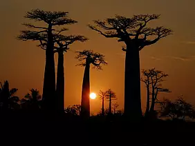 madagascar-natura-nhqec