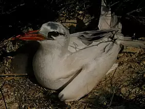 madagascar-natura-qtygc