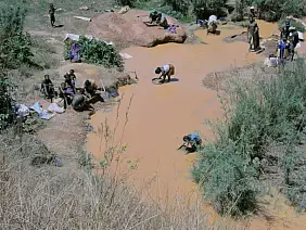 madagascar-natura-r5snx