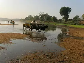 madagascar-natura-v8237
