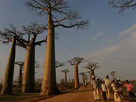 madagascar-natura-v9xnn