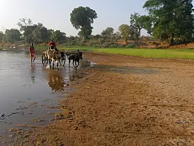 madagascar-natura-wkgje