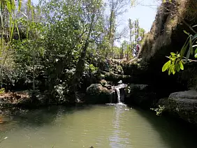 madagascar-natura-ybpsv