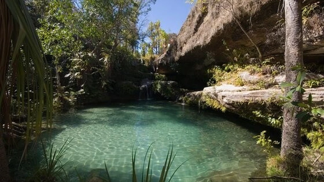 meraviglie del madagascar