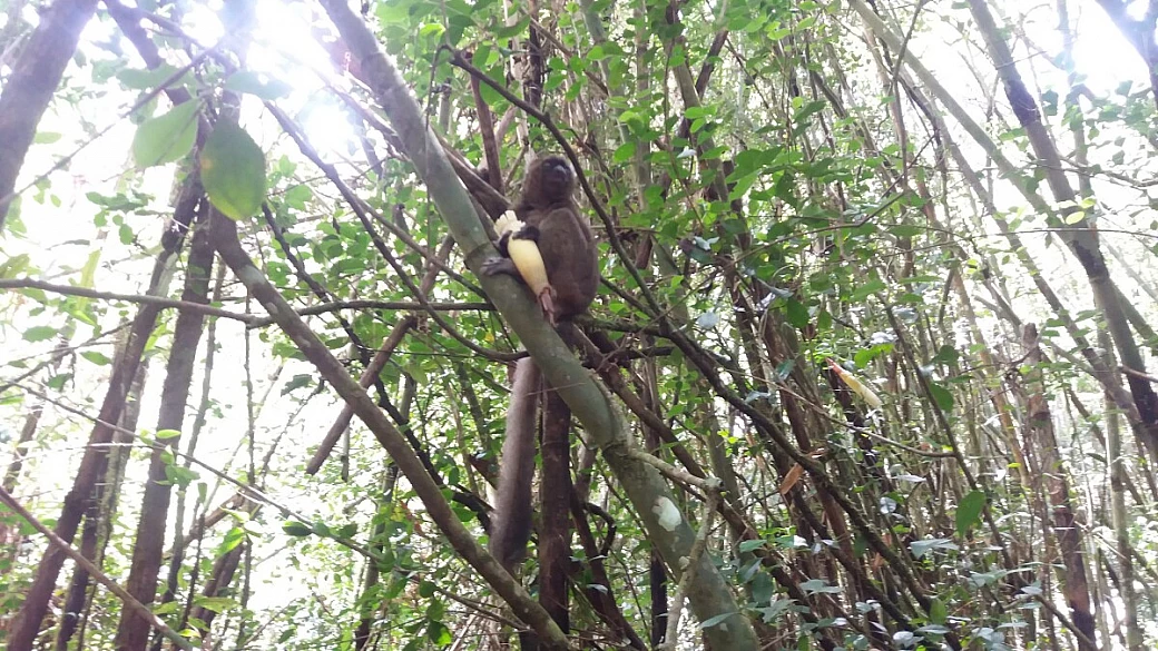 30 giorni on the road in madagascar