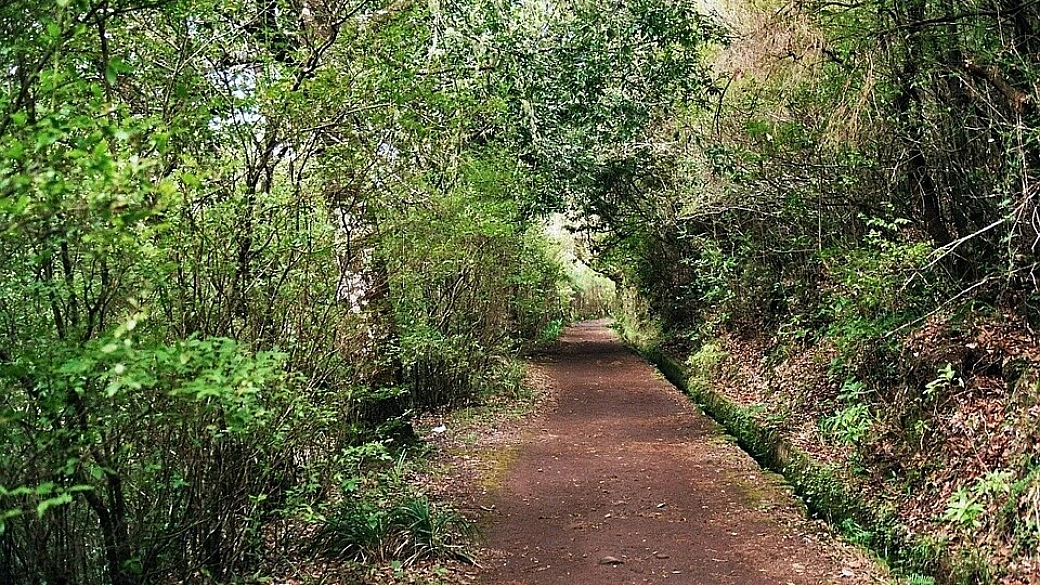 10 giorni gironzolando per madeira