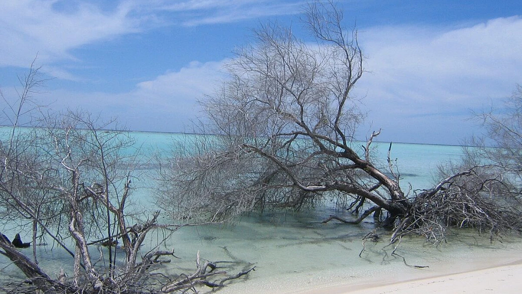 alla scoperta di mondi sconosciuti....maldive!!!!!