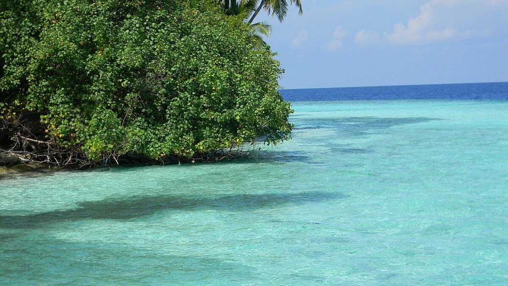 biyadhoo: paradiso fai da te!