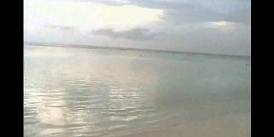 atollo lhaviyani - palm beach resort - nozze 2003