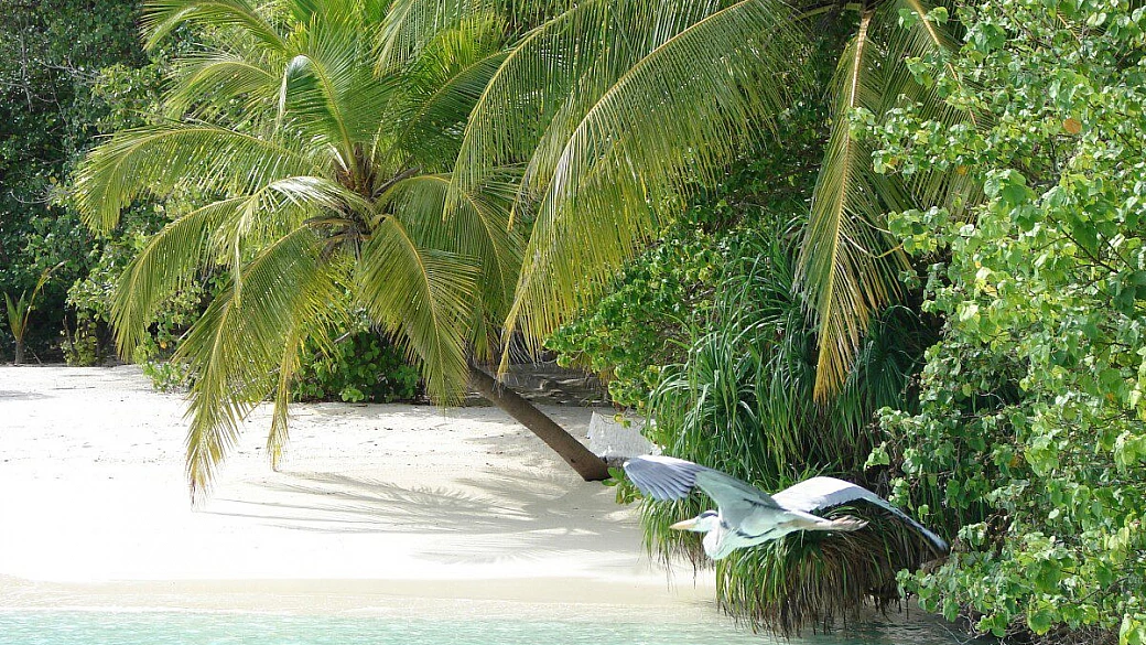 alimathà... maldive per famiglie