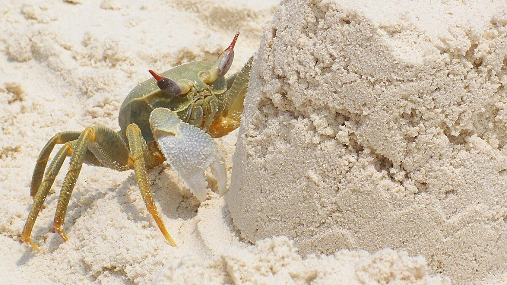 thulagiri: e io che ci faccio?