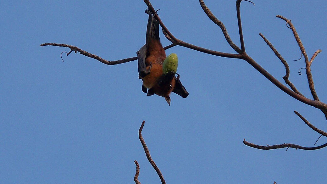 sun island un vero paradiso