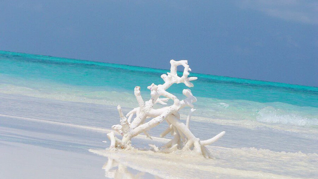 maldive l'eden del nostro tempo