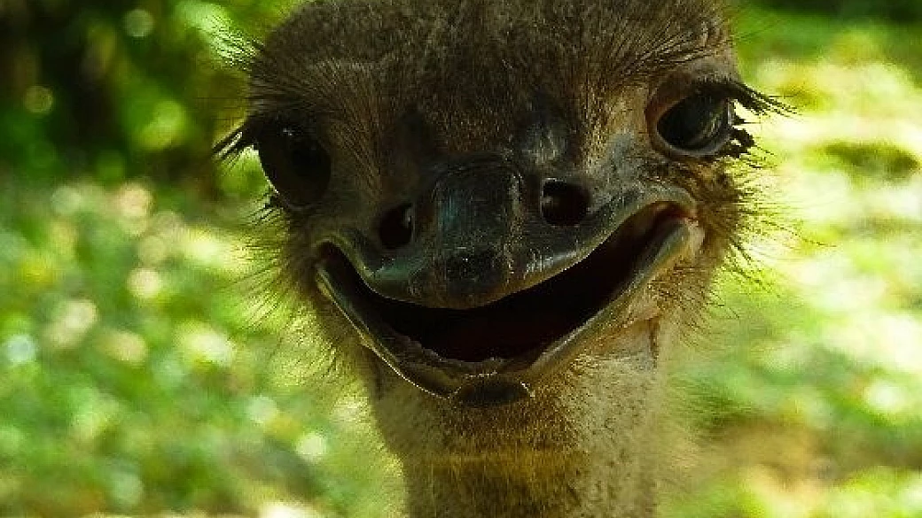 kuala lumpur, mabul, perhentian, islands