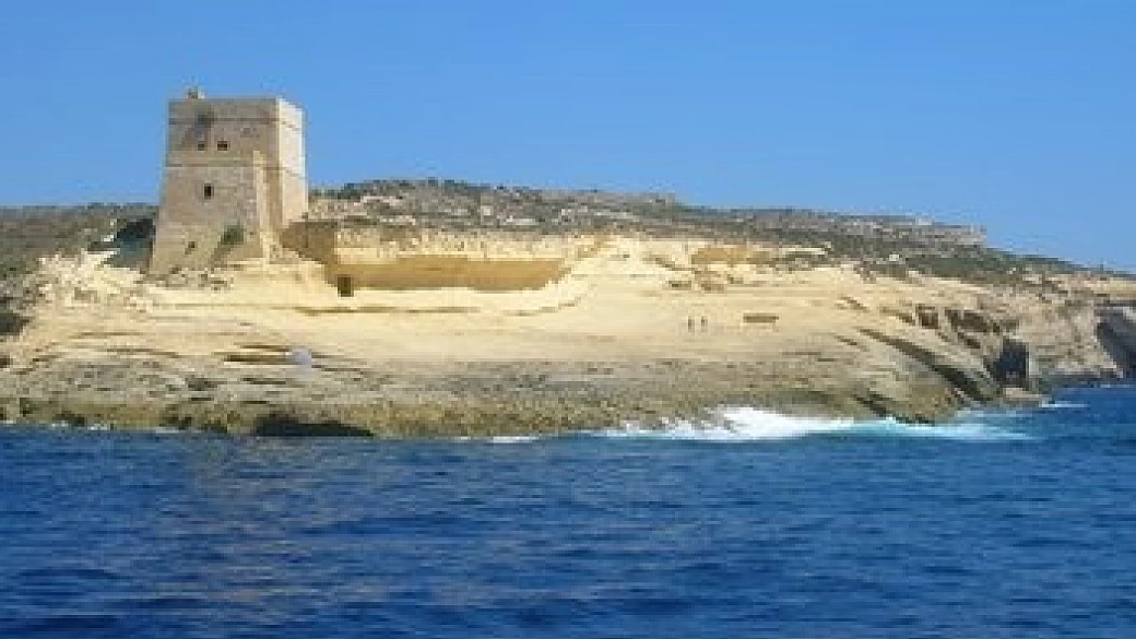 piccioni viaggiatori a malta