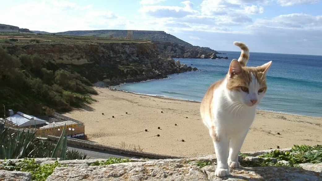 malta e gozo: le isole dei cavalieri