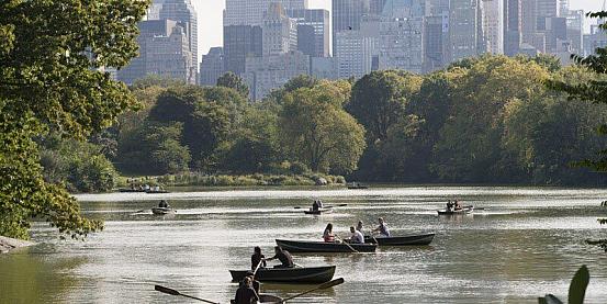 Central Park - NYC