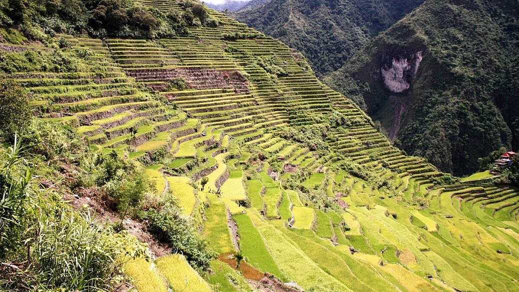 filippine: da manila alle risaie del nord