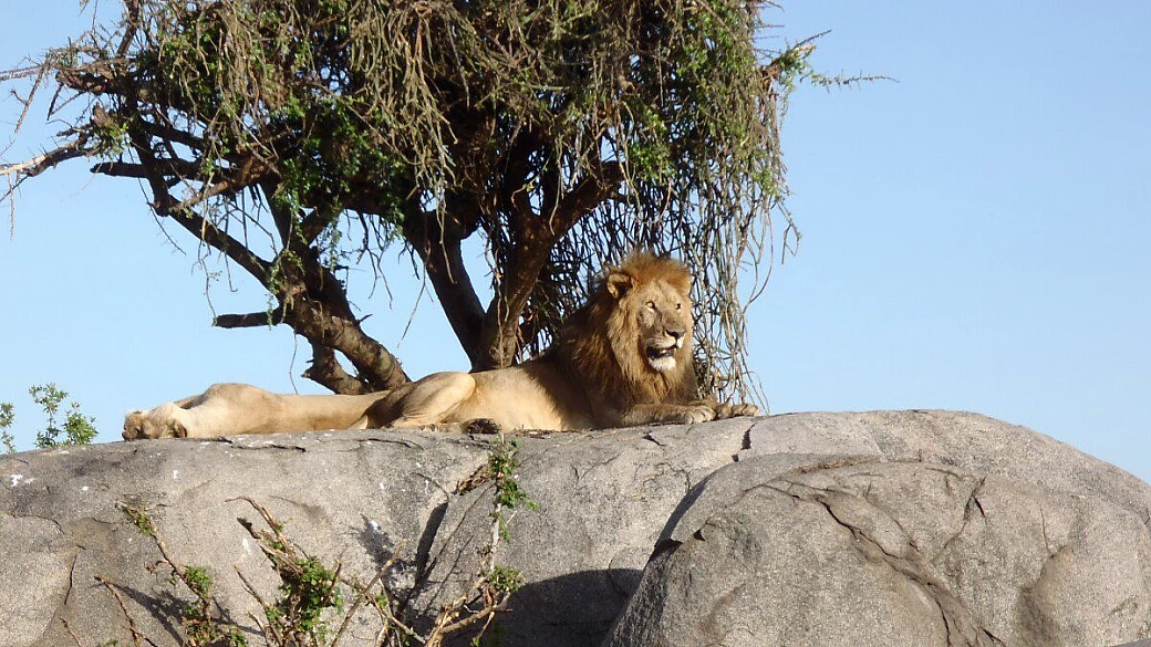 tanzania, diario di un magnifico viaggio