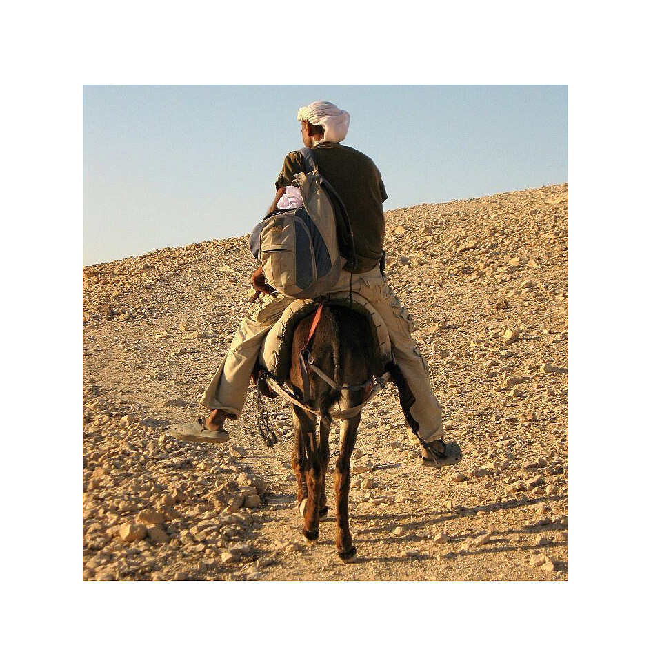 beduino sul deserto di giuda