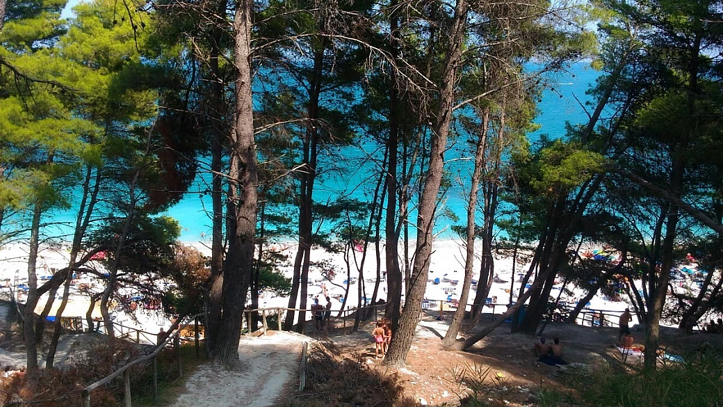 in giro per le marche