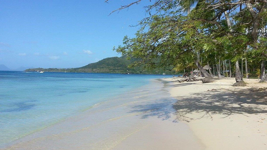 relax sulle splendide spiagge della martinica