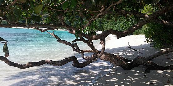 Isole Andamane, l’ultimo paradiso