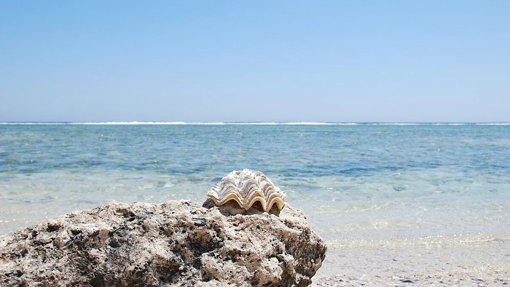 destinazione paradiso 2