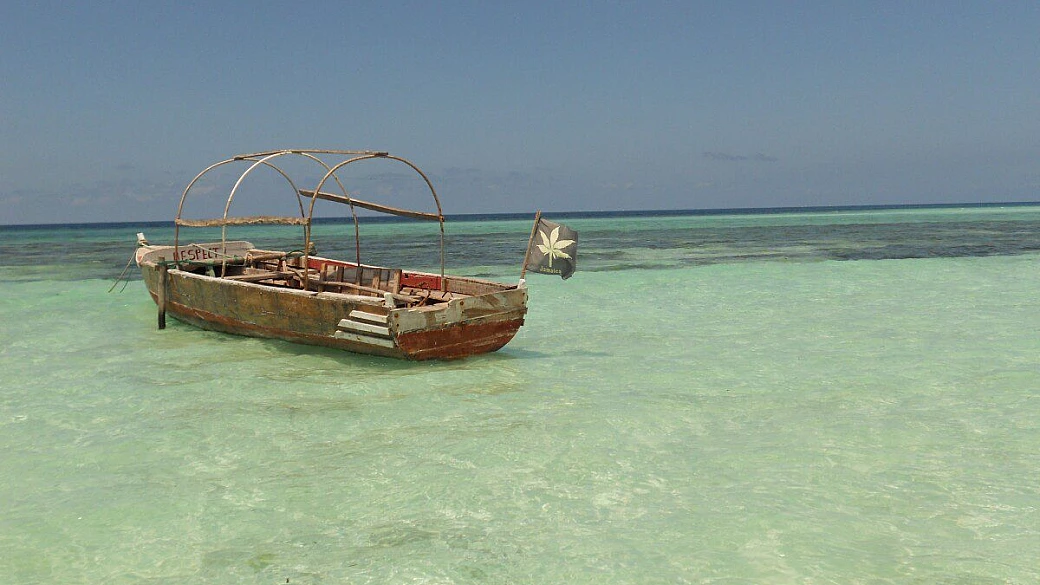 emozionante zanzibar