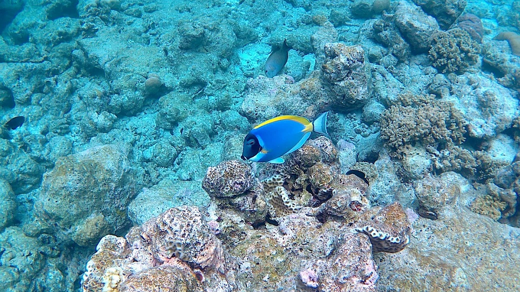 le maldive che sognavo