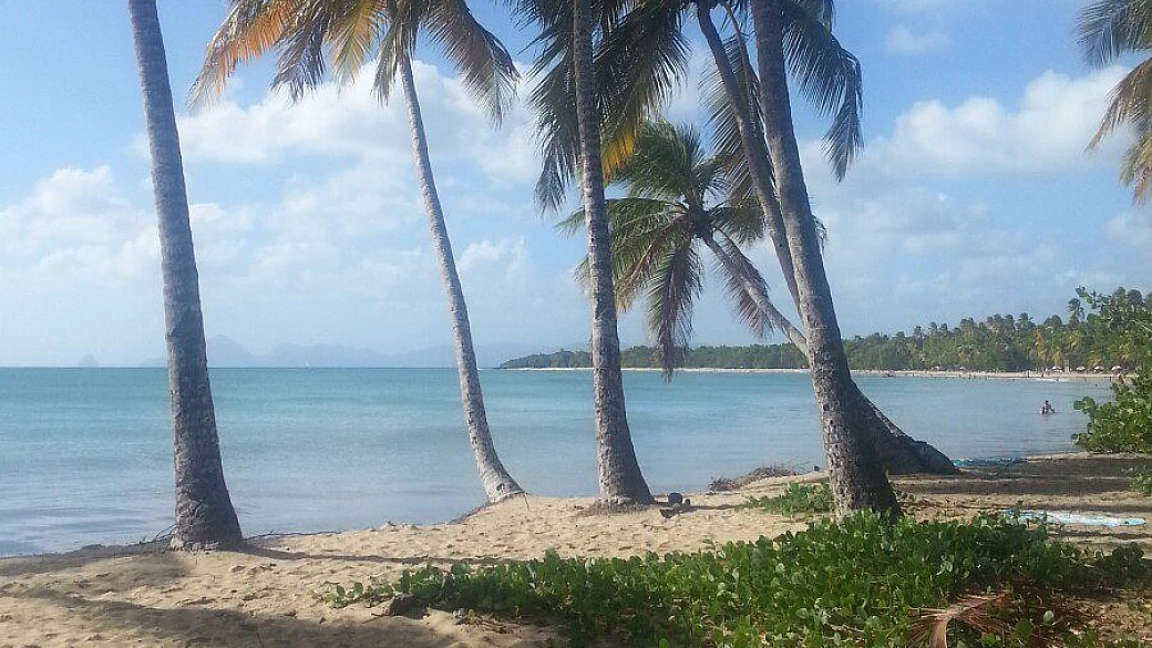 martinica: non solo spiagge caraibiche