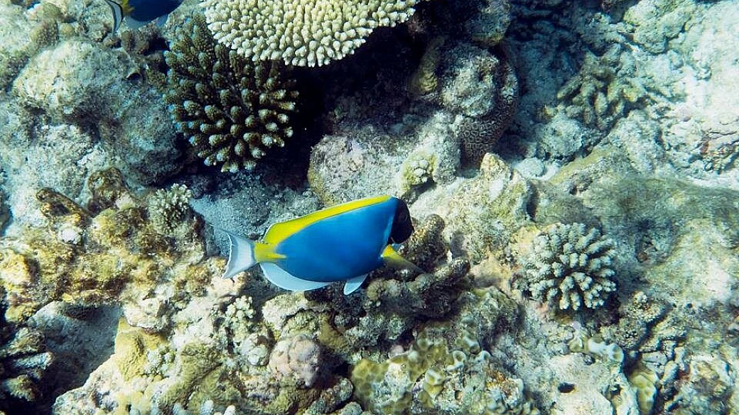 le nostre meravigliose maldive