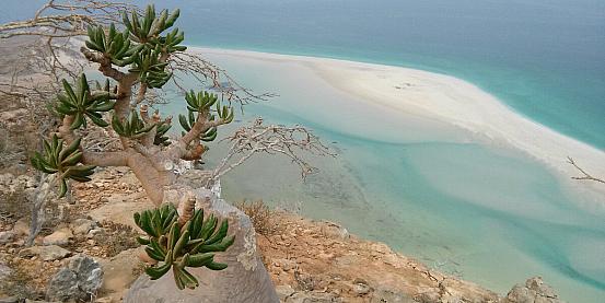 Il mare di e il popolo di Socotra