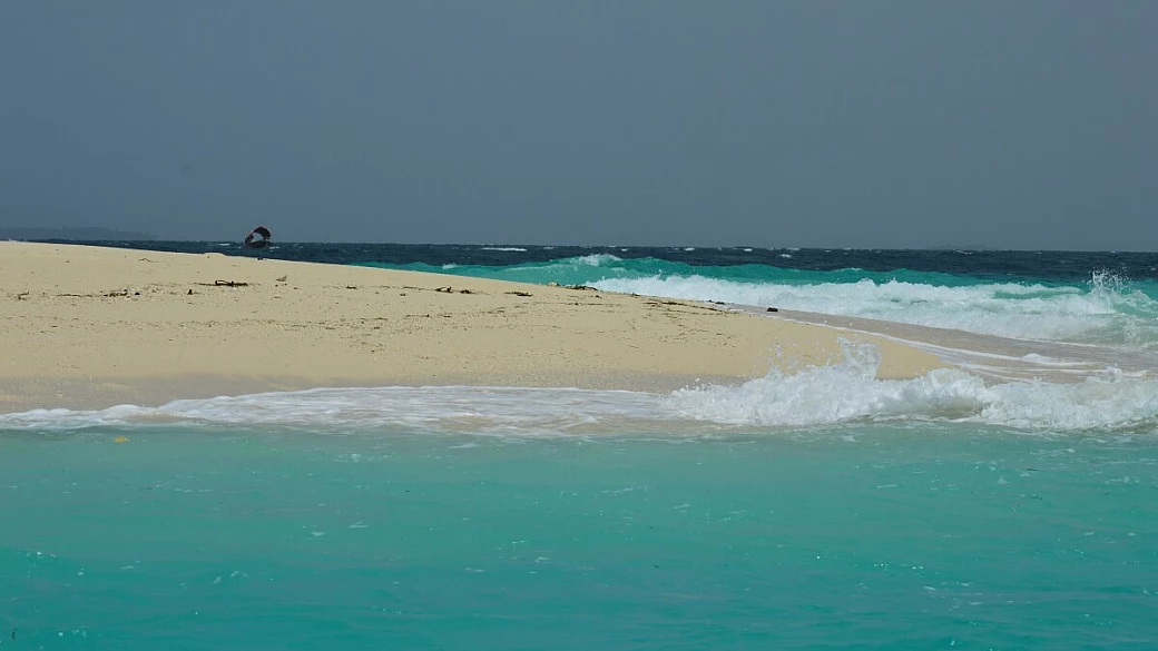 la strana vacanza a zanzibar