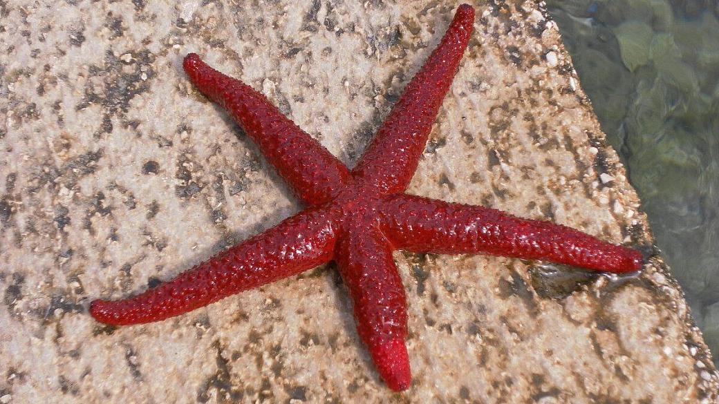 in barca nel quarnaro