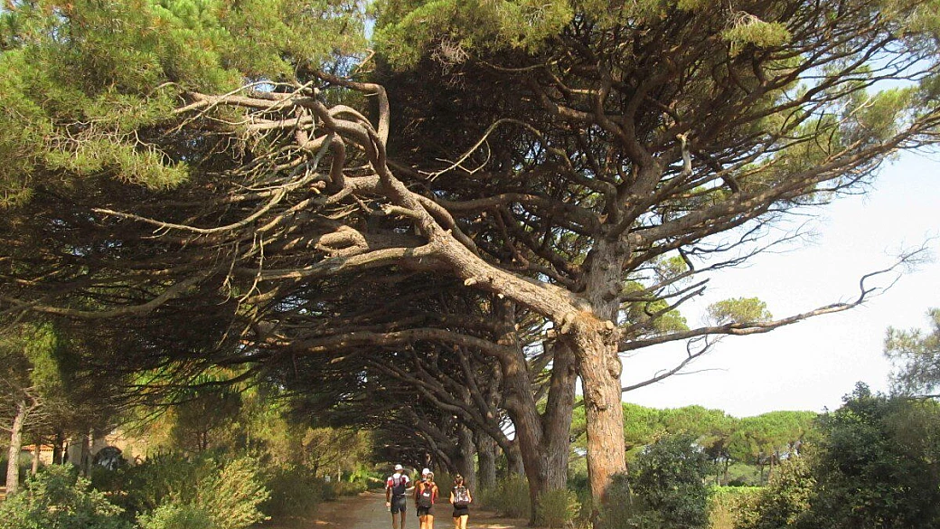 un tuffo a porquerolles