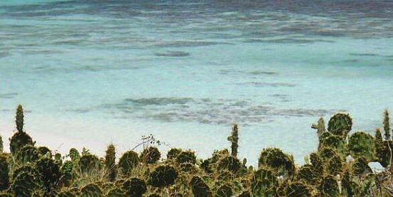 panorama caraibico - prickly pear island, antigua