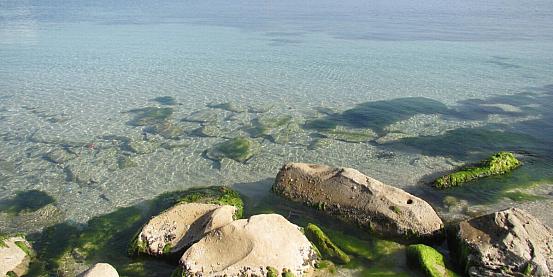 port el kantaoui la località sulla costa tunisina perfetta per il relax  fuori stagione 11