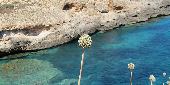 Cinque consigli su Lampedusa