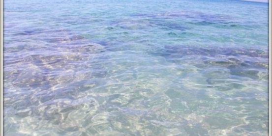 seychelles' underwater