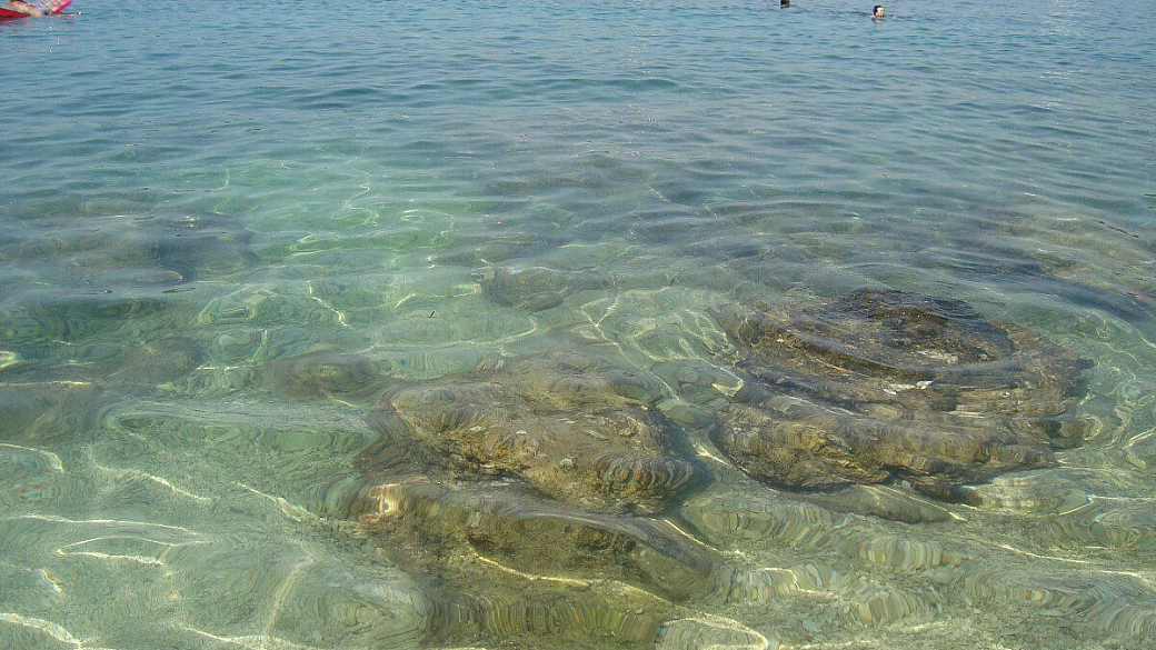 la magnifica rovigno