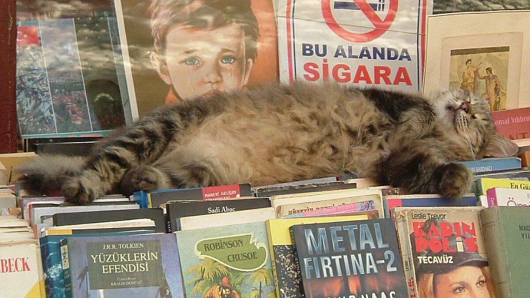 minigonna ad istanbul ??