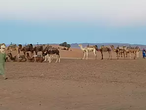 l'alba nel deserto di zagora
