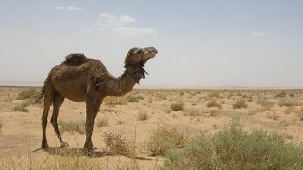 marocco: i colori dei souq e del deserto