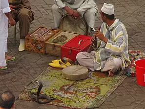 marrakech incantatori di serpenti