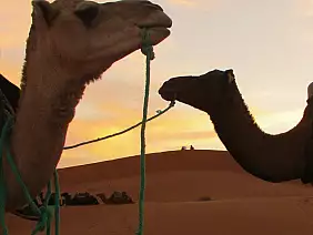 marrakech-quartiere-g7dps